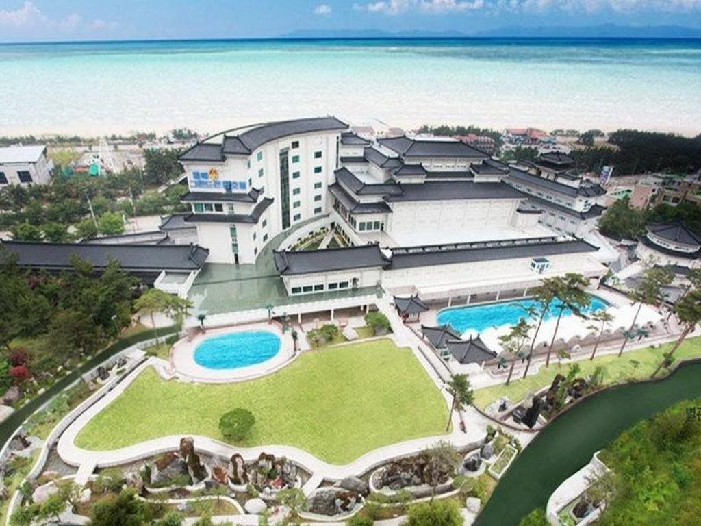 Donghae Boyang Hot Spring Convention Hotel: Your Guide to Transit, Rooms, and Amenities